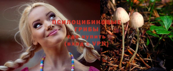 apvp Алексеевка