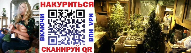 Бошки Шишки OG Kush  Лагань 